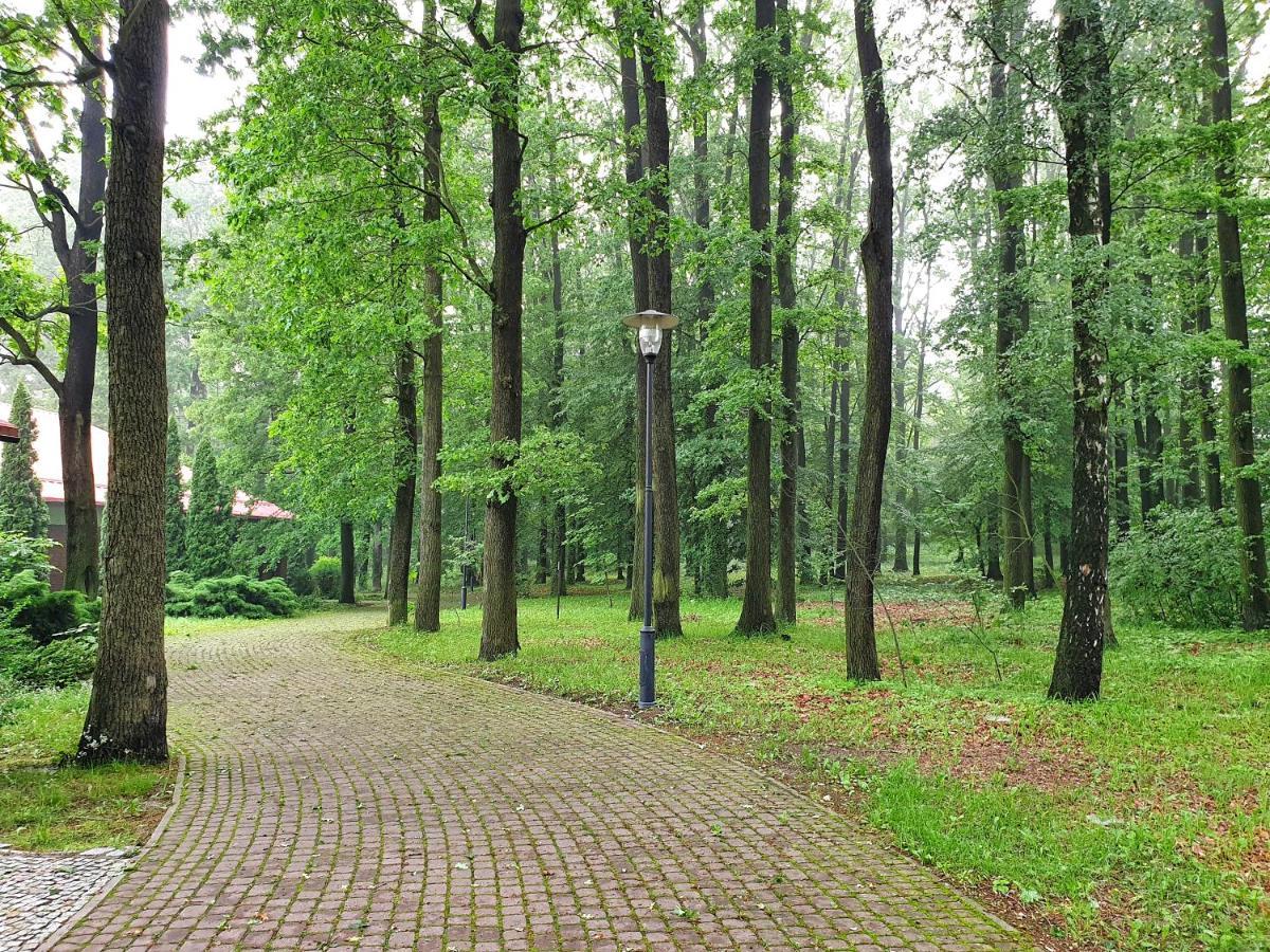 Stacja Nowa Gdynia Bed & Breakfast Aquapark Zgierz Exterior photo