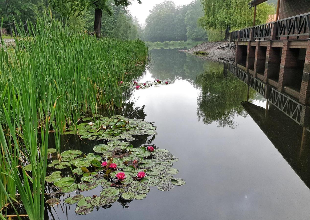 Stacja Nowa Gdynia Bed & Breakfast Aquapark Zgierz Exterior photo