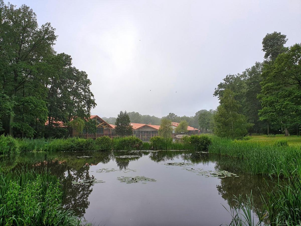 Stacja Nowa Gdynia Bed & Breakfast Aquapark Zgierz Exterior photo